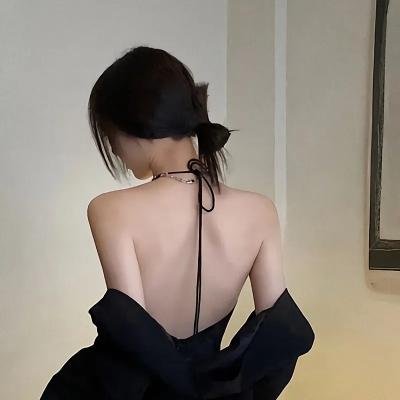 蜘蛛与郁金香